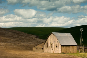 20050522_2XA1919_Master_c