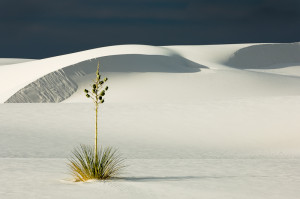 20050722_2XB0777_Master_ver_c