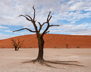 20120221_D3x_DSC1231_Master