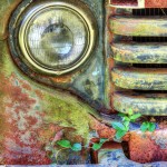 Kevin Egan - Corner of Headlight and Vine - Class 1 Digital - Image of the year