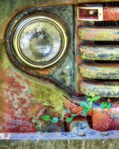 Kevin Egan - Corner of Headlight and Vine - Class 1 Digital - Image of the year