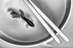 Tami Stieger - Dinner - HM