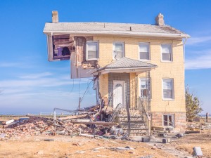 Willa Siegel - Wrath of Sandy 2 Class1 Digital - 2nd Place