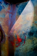 Susan Phillips White Wing