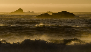 Karol Murray - Tempest