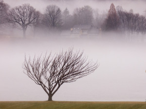 2014-09-16Fog on Severn River-HM