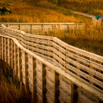 Class2_1st_Benita Mayo_Through the marsh