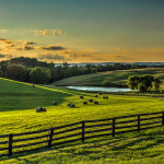 Farm on Loyalty Road
