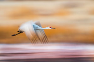 Stan Bysshe - Sunrise Takeoff