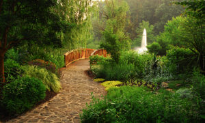 DP Meadowlark Bridge & Fountain16