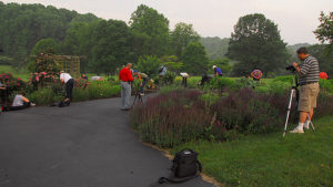 DP Meadowlark Photographers 01