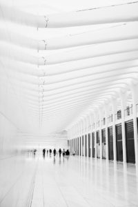 The Hallway