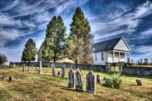 Painterly - Judy Guenther