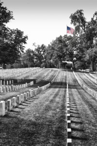 Barry Dunn - Love of War